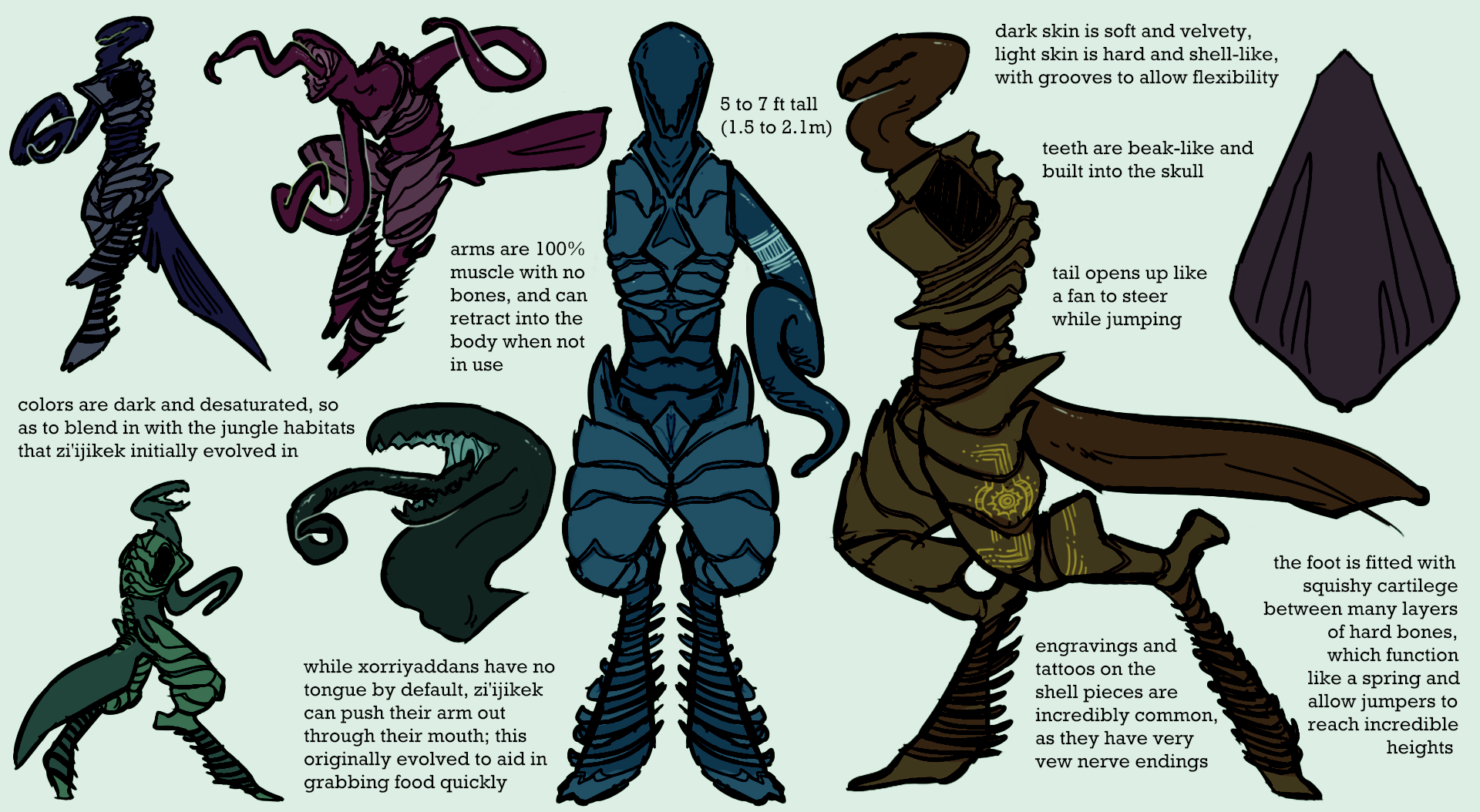 Zi'ijikek are tall, dark colored aliens. Colors are dark and desaturated, so as to blend in with the jungle habitats that zi'ijikek initially evolved in. Arms are 100% muscle with no bones, and can retract into the body when not in use. While Xorryaddans have no tongue by default, zi'ijikek can push their arm out through their mouth; this originally evolved to aid in grabbing food quickly. 5 ro 7 feet tall; 1.5 to 2.1 meters. Dark skin is soft and velvety, lighter armored bits are hard and shell-like, with grooves to allow flexibility. Teeth are beak-like and built into the skull. Tail opens up like a fan to steer while jumping. The foot is fitted with squishy cartilage between many layers of hard bone, which function like a spring and allow zi'ijikek to read incredible heights. Engravings and tattoos on the shell pieces are incredibly common, as they have very few nerve endings.